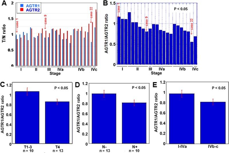 https://cdn.ncbi.nlm.nih.gov/pmc/blobs/da98/6290968/833bd23ac931/oncotarget-09-36561-g001.jpg