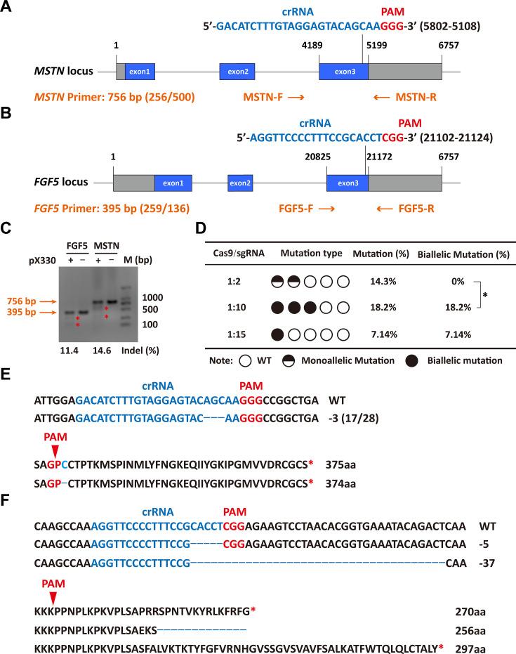 https://cdn.ncbi.nlm.nih.gov/pmc/blobs/da9f/11452178/3c3ca60f1911/elife-86827-fig1.jpg