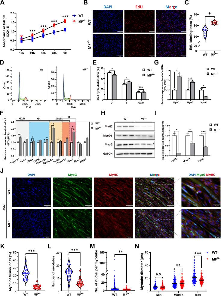 https://cdn.ncbi.nlm.nih.gov/pmc/blobs/da9f/11452178/894d9445724a/elife-86827-fig3.jpg