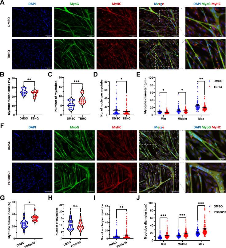 https://cdn.ncbi.nlm.nih.gov/pmc/blobs/da9f/11452178/9668941e5bff/elife-86827-fig7.jpg