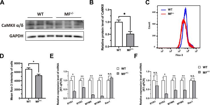 https://cdn.ncbi.nlm.nih.gov/pmc/blobs/da9f/11452178/bca8ff526497/elife-86827-fig8.jpg