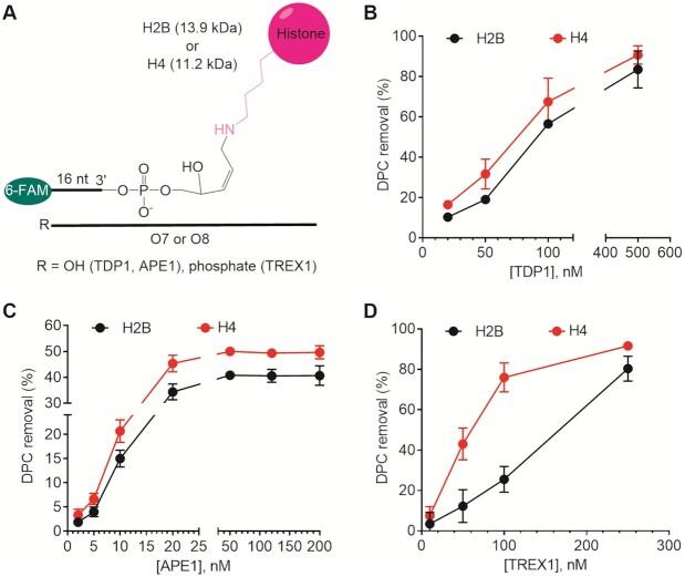 https://cdn.ncbi.nlm.nih.gov/pmc/blobs/daae/9023300/090ef1fe1ada/gkac185fig7.jpg