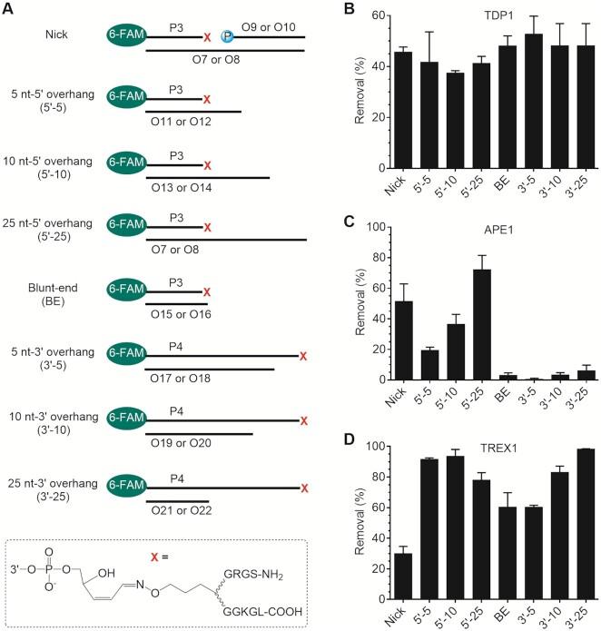https://cdn.ncbi.nlm.nih.gov/pmc/blobs/daae/9023300/6e0ceab4b988/gkac185fig5.jpg