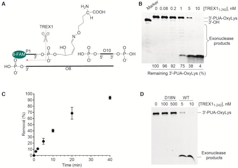 https://cdn.ncbi.nlm.nih.gov/pmc/blobs/daae/9023300/ed09aba80385/gkac185fig3.jpg