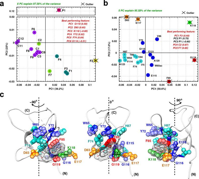 https://cdn.ncbi.nlm.nih.gov/pmc/blobs/dad4/9928419/1f2eac481a90/elife-80387-fig5.jpg