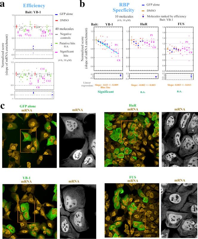 https://cdn.ncbi.nlm.nih.gov/pmc/blobs/dad4/9928419/a97601276c97/elife-80387-fig4.jpg