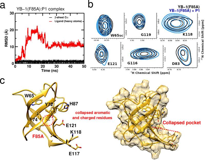 https://cdn.ncbi.nlm.nih.gov/pmc/blobs/dad4/9928419/b9448246fdd5/elife-80387-fig6-figsupp2.jpg