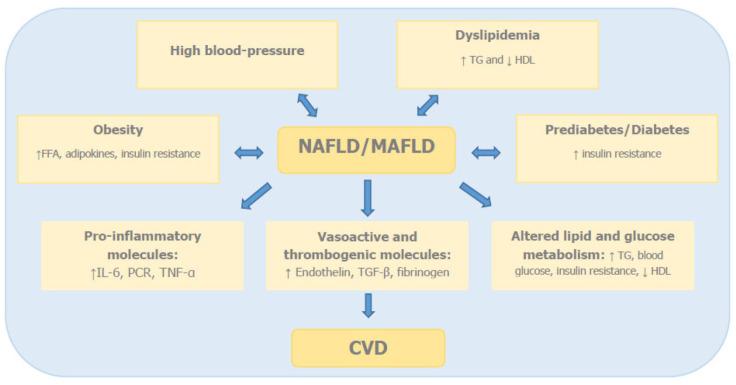 https://cdn.ncbi.nlm.nih.gov/pmc/blobs/dae3/9885036/1e6b814d4382/10.1177_20420188221145549-fig1.jpg