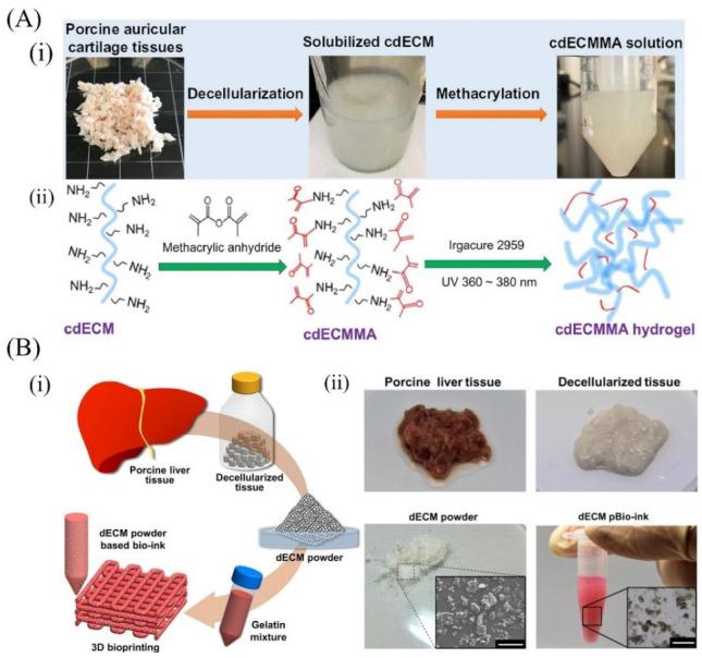 https://cdn.ncbi.nlm.nih.gov/pmc/blobs/dae9/9182049/d33b55d0e1af/molecules-27-03442-g003.jpg