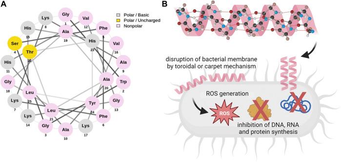 https://cdn.ncbi.nlm.nih.gov/pmc/blobs/db09/10853354/613969b40fd2/fphar-15-1340029-g001.jpg