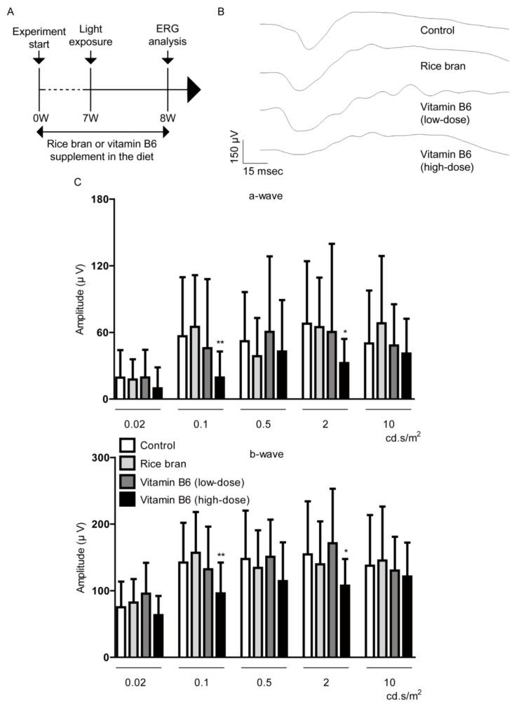 https://cdn.ncbi.nlm.nih.gov/pmc/blobs/db1b/7728083/8282bdf1cfa8/ijms-21-08940-g005.jpg