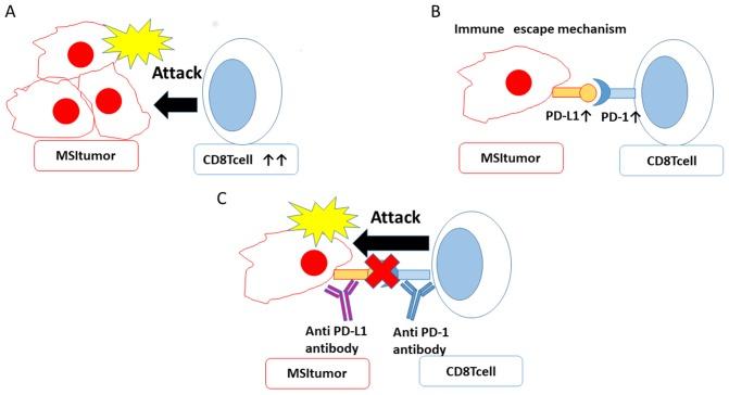 https://cdn.ncbi.nlm.nih.gov/pmc/blobs/db21/5814165/1f558fd4c5a3/oncotarget-09-5652-g005.jpg