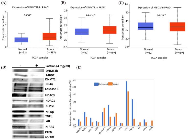 https://cdn.ncbi.nlm.nih.gov/pmc/blobs/db33/10780623/63bccbddadd2/nutrients-16-00114-g004.jpg