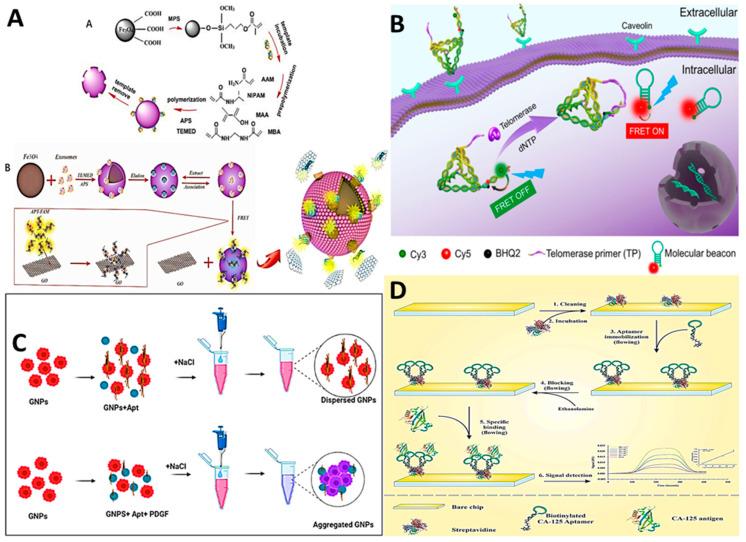 https://cdn.ncbi.nlm.nih.gov/pmc/blobs/db3c/10887380/81a793d069ea/biosensors-14-00078-g003.jpg