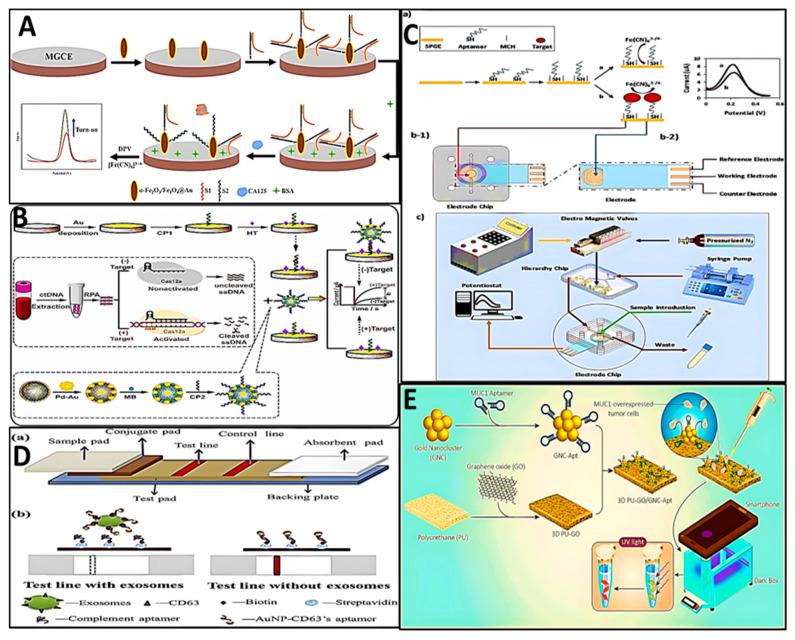 https://cdn.ncbi.nlm.nih.gov/pmc/blobs/db3c/10887380/9160f8a470ae/biosensors-14-00078-g004.jpg