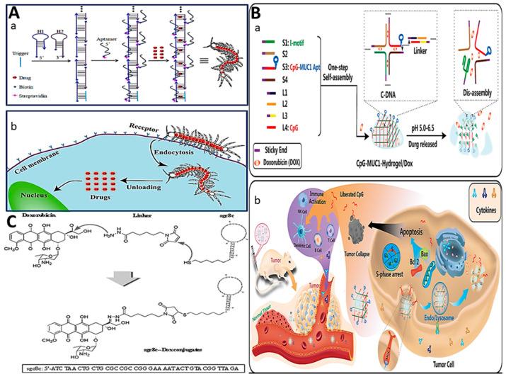 https://cdn.ncbi.nlm.nih.gov/pmc/blobs/db3c/10887380/f9ca298500d9/biosensors-14-00078-g002.jpg
