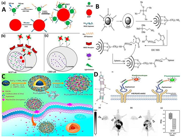 https://cdn.ncbi.nlm.nih.gov/pmc/blobs/db3c/10887380/fc3863bcf5aa/biosensors-14-00078-g001.jpg