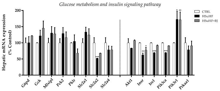 https://cdn.ncbi.nlm.nih.gov/pmc/blobs/db4d/8706913/82727a584cf6/nutrients-13-04192-g007.jpg