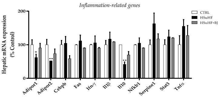 https://cdn.ncbi.nlm.nih.gov/pmc/blobs/db4d/8706913/a2998c65cfae/nutrients-13-04192-g006.jpg