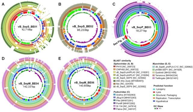 https://cdn.ncbi.nlm.nih.gov/pmc/blobs/db54/10117716/a5eea2f5fbef/xtab003fig4.jpg