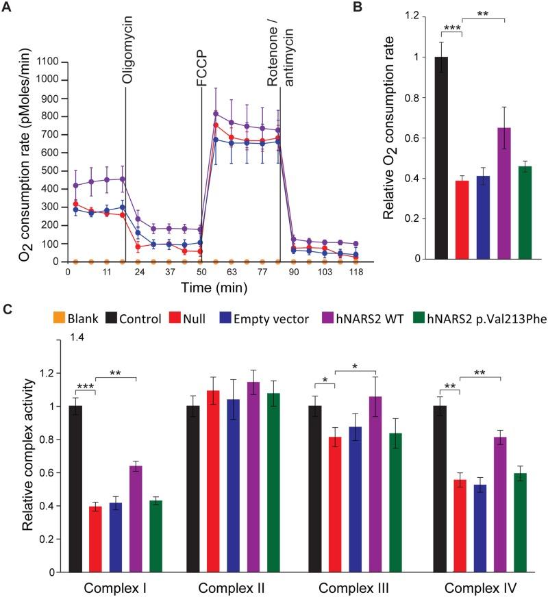 https://cdn.ncbi.nlm.nih.gov/pmc/blobs/db61/4373692/192b8bd486b8/pgen.1005097.g005.jpg