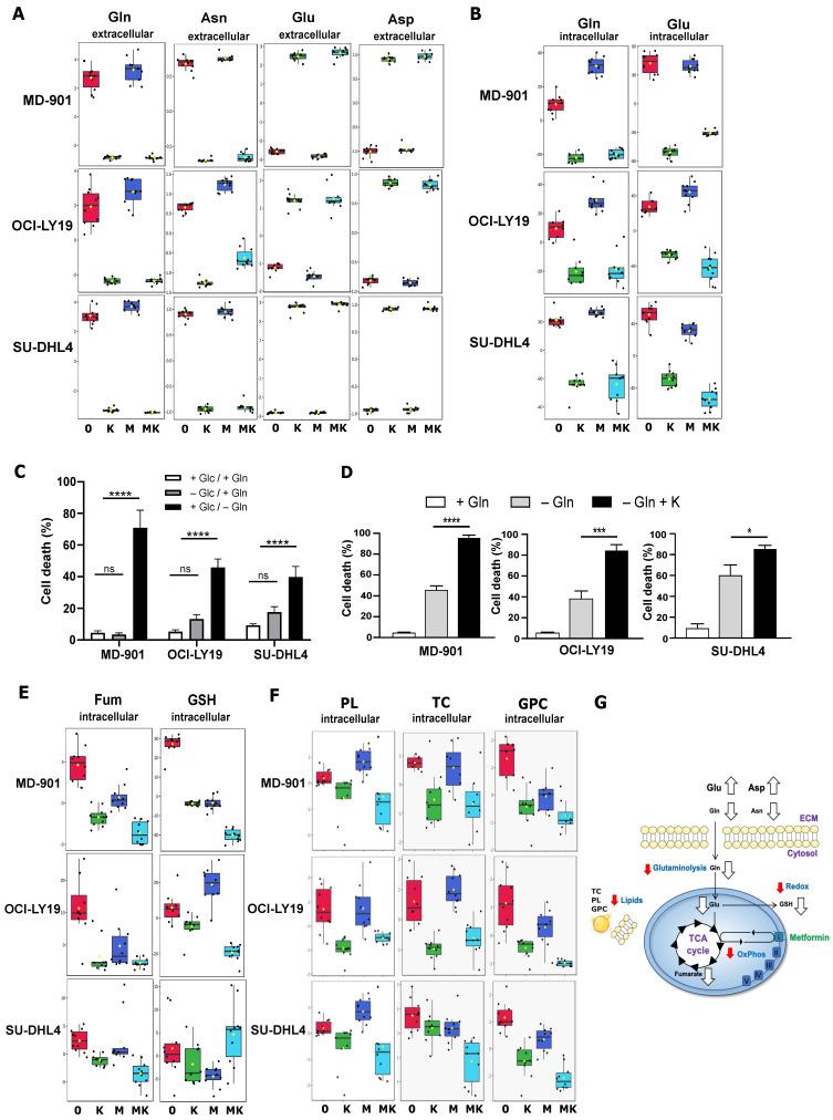 https://cdn.ncbi.nlm.nih.gov/pmc/blobs/db77/11816127/a6f69336aeba/cancers-17-00394-g002.jpg