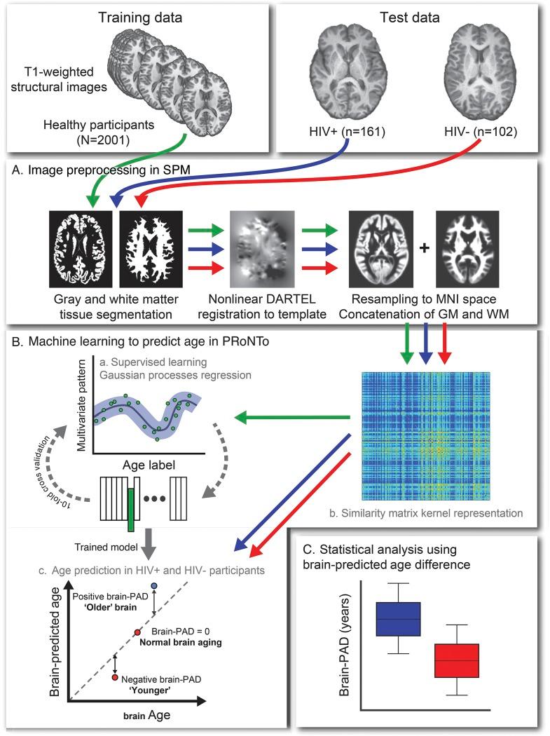 https://cdn.ncbi.nlm.nih.gov/pmc/blobs/db86/5379929/17420d4973c1/NEUROLOGY2016764233FF1.jpg