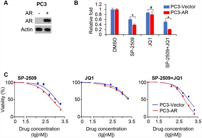 https://cdn.ncbi.nlm.nih.gov/pmc/blobs/db8d/6977660/aca232ebf0f7/aging-12-102630-g004.jpg