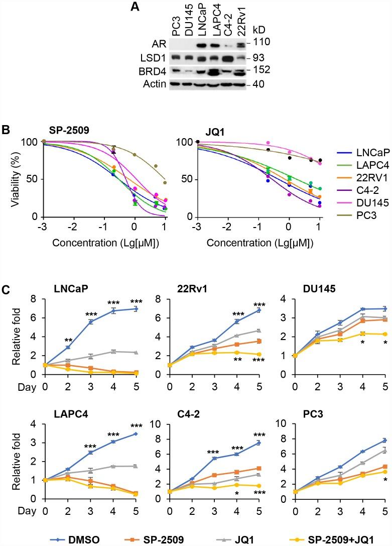 https://cdn.ncbi.nlm.nih.gov/pmc/blobs/db8d/6977660/f2d54bcc2cd5/aging-12-102630-g001.jpg