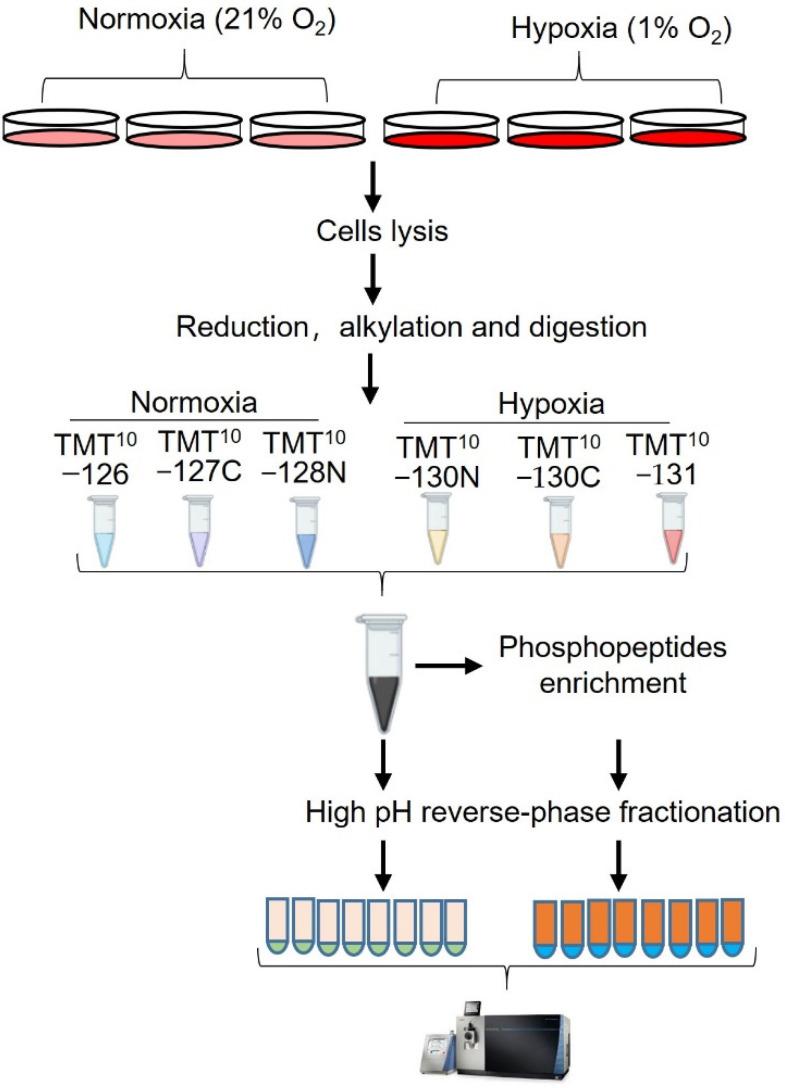 https://cdn.ncbi.nlm.nih.gov/pmc/blobs/db92/9326561/0acf810c7bb9/proteomes-10-00023-g001.jpg