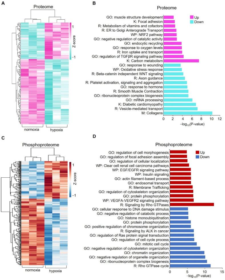 https://cdn.ncbi.nlm.nih.gov/pmc/blobs/db92/9326561/1af5eb3e461a/proteomes-10-00023-g003.jpg
