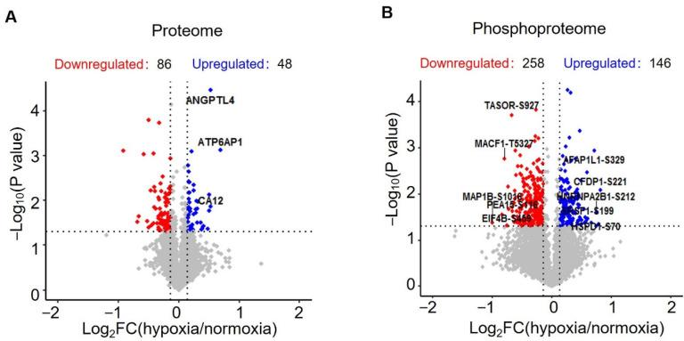 https://cdn.ncbi.nlm.nih.gov/pmc/blobs/db92/9326561/60451232bd3c/proteomes-10-00023-g002.jpg