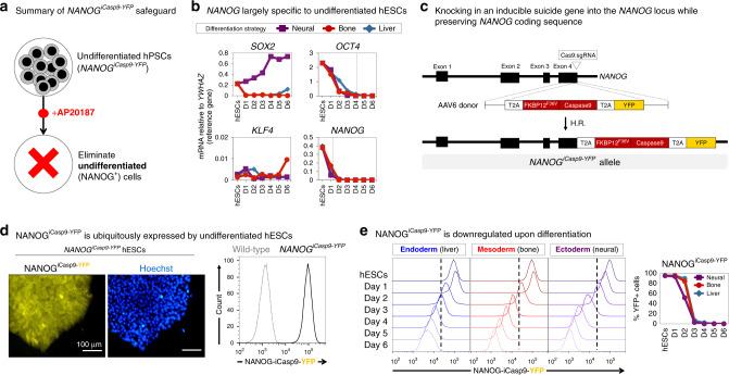 https://cdn.ncbi.nlm.nih.gov/pmc/blobs/dbb2/7264334/db0be3a80ec2/41467_2020_16455_Fig2_HTML.jpg