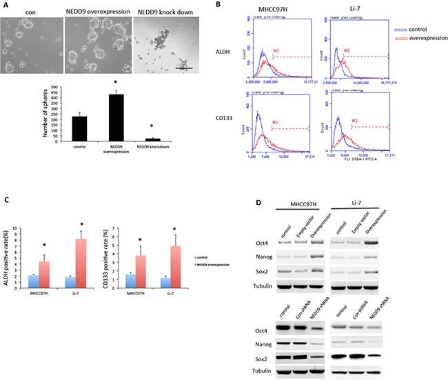 https://cdn.ncbi.nlm.nih.gov/pmc/blobs/dbb8/5352091/c1b4648cb639/oncotarget-08-1714-g004.jpg