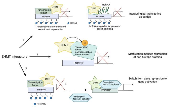 https://cdn.ncbi.nlm.nih.gov/pmc/blobs/dbc4/9221123/8c6951135300/cancers-14-02855-g002.jpg