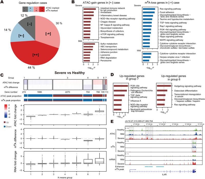 https://cdn.ncbi.nlm.nih.gov/pmc/blobs/dbcf/11749566/8b14733d1de0/lnad034_fig4.jpg