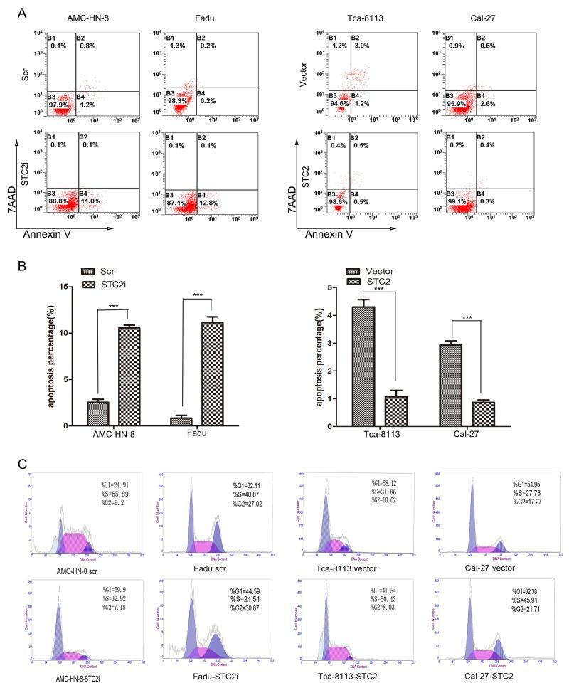 https://cdn.ncbi.nlm.nih.gov/pmc/blobs/dc5d/5351606/c9549aeff86a/oncotarget-08-5976-g002.jpg