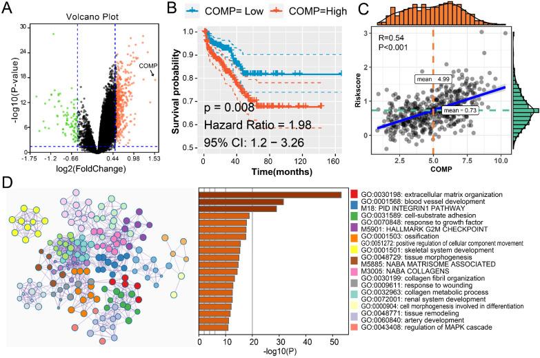 https://cdn.ncbi.nlm.nih.gov/pmc/blobs/dc70/7359399/0832c7c94182/ijmsv17p1550g006.jpg