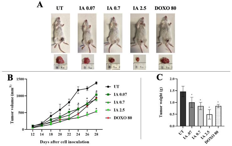 https://cdn.ncbi.nlm.nih.gov/pmc/blobs/dc7d/12346399/07e4a63fc02a/cells-14-01192-g001.jpg