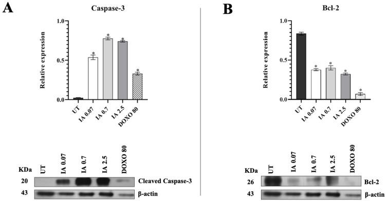 https://cdn.ncbi.nlm.nih.gov/pmc/blobs/dc7d/12346399/77fdeebd126c/cells-14-01192-g005.jpg