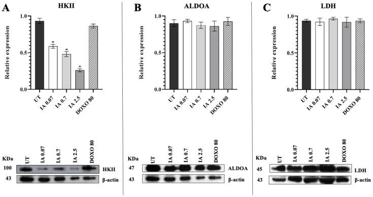 https://cdn.ncbi.nlm.nih.gov/pmc/blobs/dc7d/12346399/8daffdb0e57f/cells-14-01192-g004.jpg