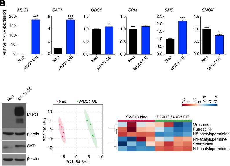 https://cdn.ncbi.nlm.nih.gov/pmc/blobs/dc9f/10998584/1b44a9a4f397/pnas.2315509121fig02.jpg