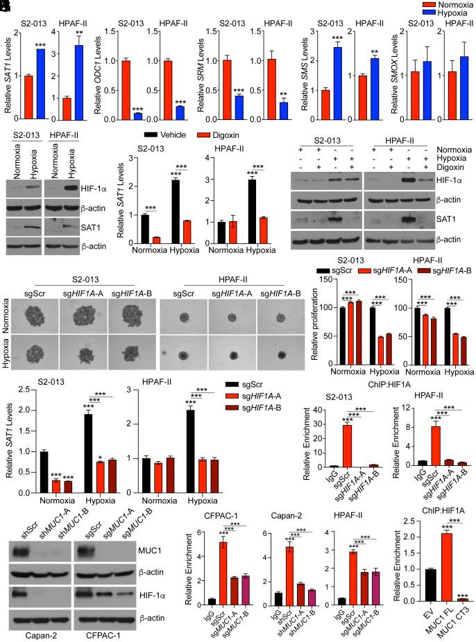 https://cdn.ncbi.nlm.nih.gov/pmc/blobs/dc9f/10998584/972fbdeab082/pnas.2315509121fig04.jpg