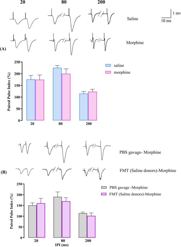 https://cdn.ncbi.nlm.nih.gov/pmc/blobs/dcb8/12000926/80bda0ed2f3c/ADB-30-e70034-g006.jpg