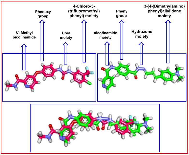 https://cdn.ncbi.nlm.nih.gov/pmc/blobs/dcc8/9268560/acc37b7dc775/molecules-27-04079-g012.jpg