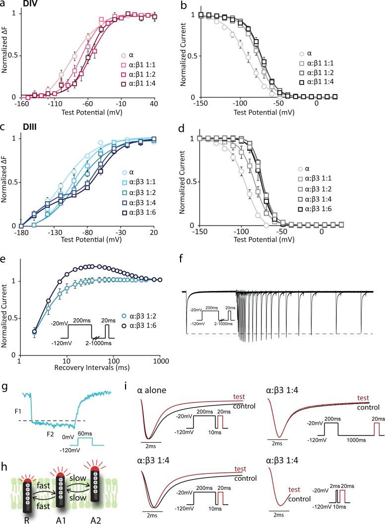 https://cdn.ncbi.nlm.nih.gov/pmc/blobs/dce3/5560778/d98ed2b09d0f/JGP_201711802_Fig3.jpg