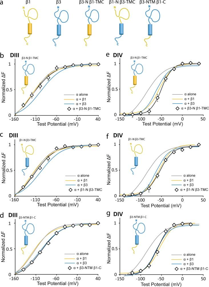 https://cdn.ncbi.nlm.nih.gov/pmc/blobs/dce3/5560778/e3df2284b534/JGP_201711802_Fig6.jpg