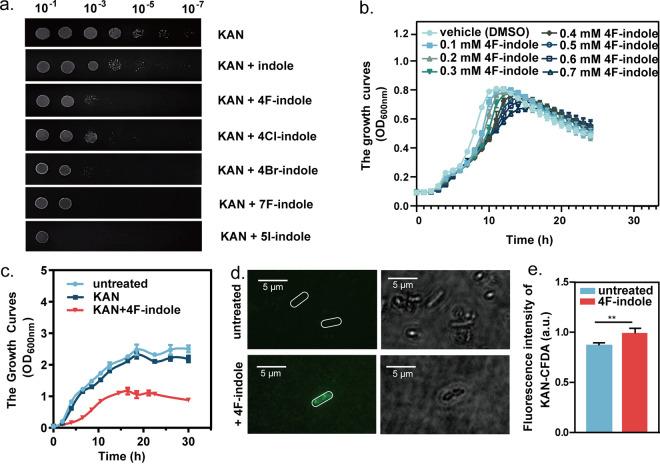 https://cdn.ncbi.nlm.nih.gov/pmc/blobs/dce5/10100892/9c1ed4a66d86/spectrum.04519-22-f001.jpg