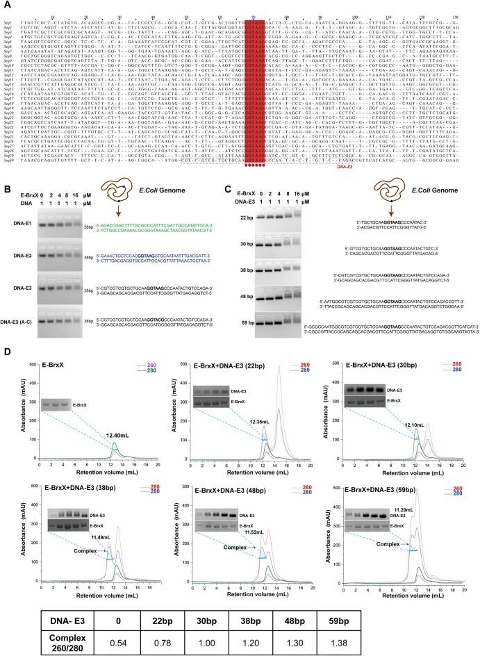 https://cdn.ncbi.nlm.nih.gov/pmc/blobs/dcea/11317158/593d4d56f637/gkae608fig2.jpg