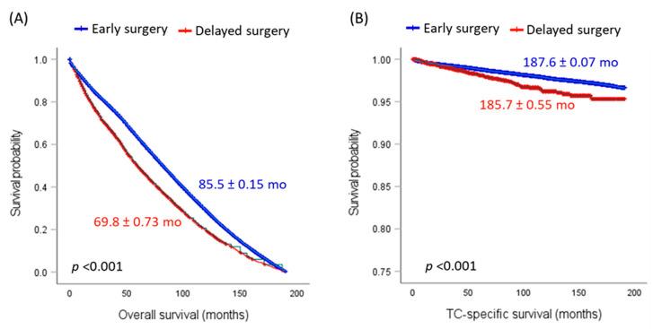 https://cdn.ncbi.nlm.nih.gov/pmc/blobs/dcf1/10378250/c1853a081489/cancers-15-03699-g003.jpg